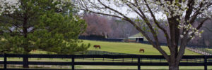 Franklin TN Ranches and Farms for Sale